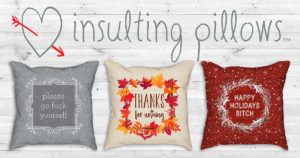 insultinggifts.com website sells a combination of designer pillows and low blows